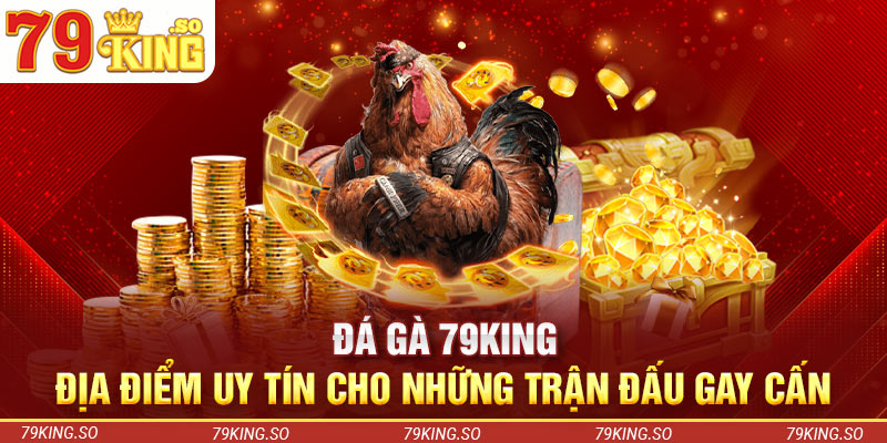 Đá Gà 79KING - Địa Điểm Uy Tín Cho Những Trận Đấu Gay Cấn