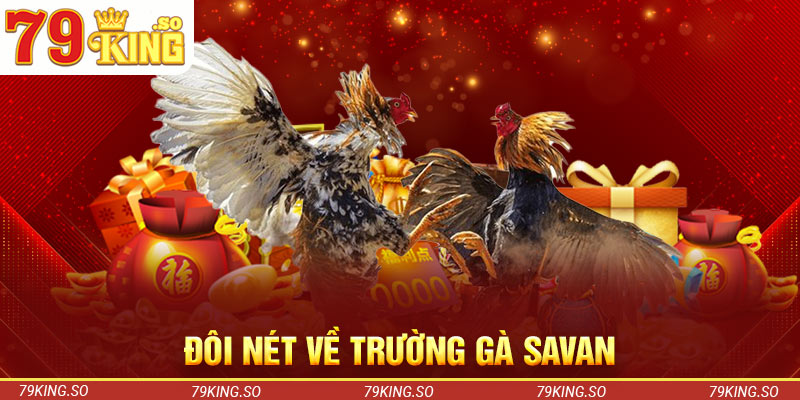 Đôi nét về trường gà Savan