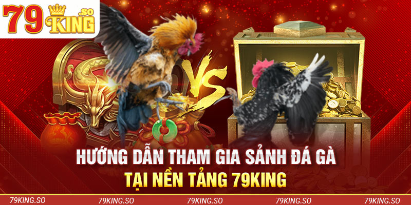 Hướng dẫn tham gia sảnh đá gà tại nền tảng 79KING