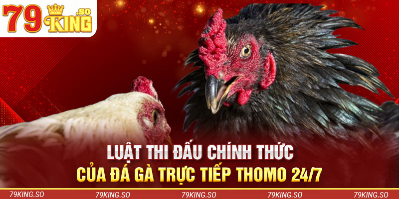 Luật thi đấu chính thức của đá gà trực tiếp Thomo 24/7