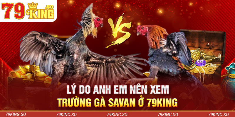 Lý do anh em nên xem trường gà Savan ở 79KING