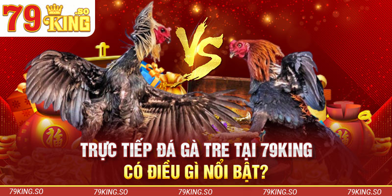 Trực tiếp đá gà tre tại 79KING có điều gì nổi bật?